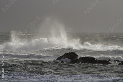 Wallpaper Mural Typical northern portuguese coast wind storm Torontodigital.ca