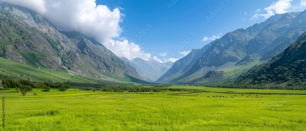 Fototapeta premium A valley surrounded by mountains, featuring a verdant field in the foreground where cows graze