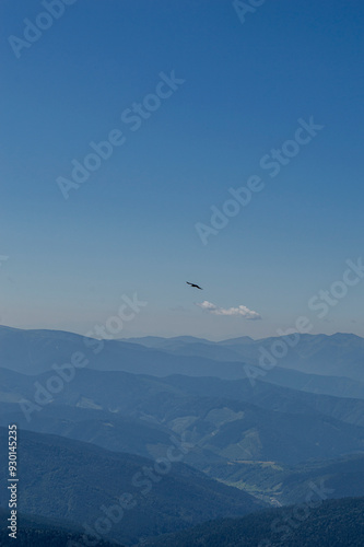 a bird in the air on top of a mountain