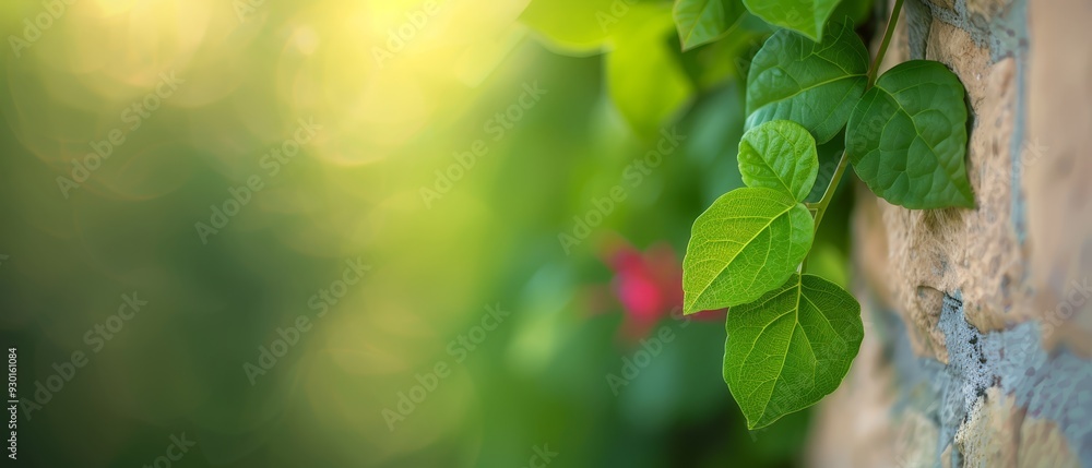 A tight shot of a plant against a brick backdrop Green foliage fills the midground, while a pink bloom stands prominently in the foreground A tight shot of a plant against a brick backdrop Green foliage fills the midground, while a pink bloom stands prominently in the foreground