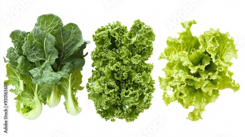 Fresh Lettuce Leaves Collage on White Background