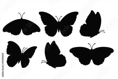 Silhouette of butterfly. Set of butterflies of different shapes. Monochrome vector illustration on white background.