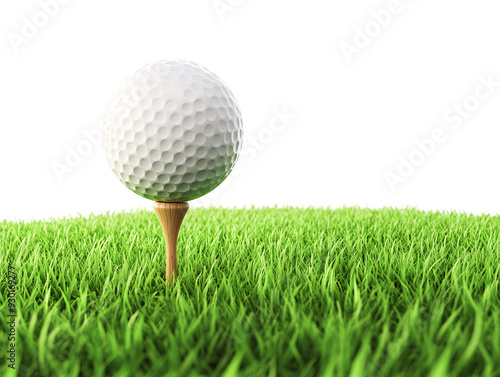 a golf ball on a tee in grass