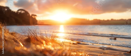  The sun sets over a body of water, foregrounded by a beach and grass