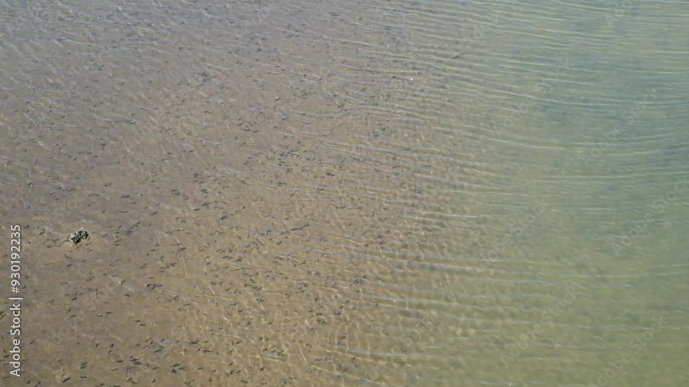 Sparkling river water with abstract shapes, patterns and textures. The movement of clear river waves. The river bed is visible Sparkling river water with abstract shapes, patterns and textures. The movement of clear river waves. The river bed is visible