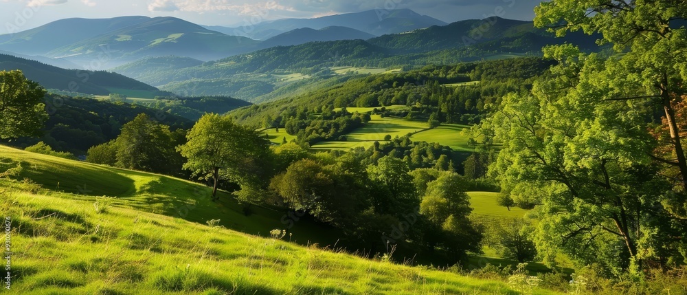 A lush green hillside, densely covered in trees, with lush green hills in the distance A lush green hillside, densely covered in trees, with lush green hills in the distance