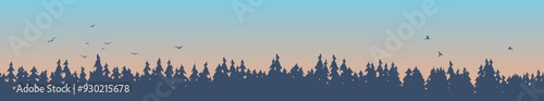 Spruce Trees Landscape in the Fog. Nature and landscapes concept vector