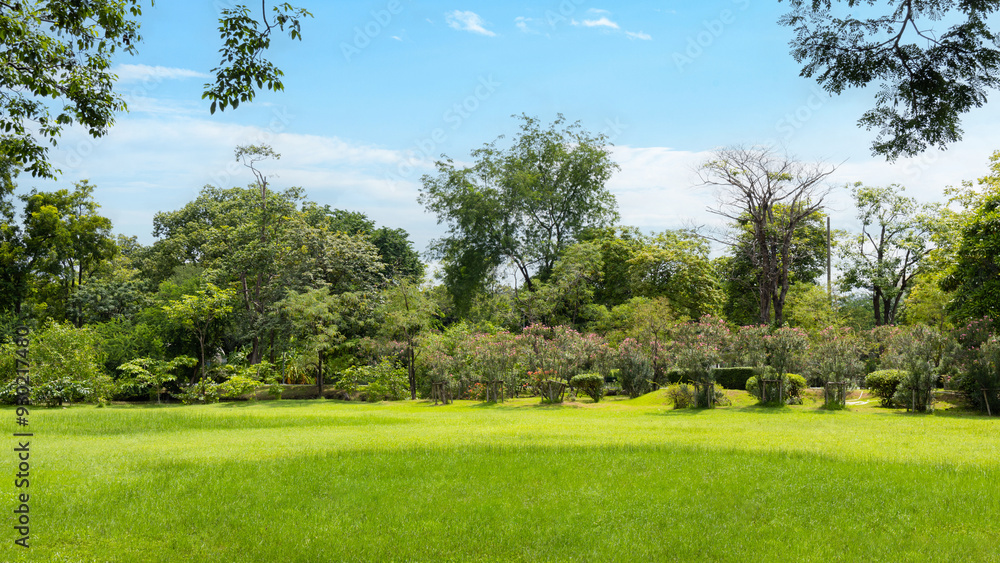 Scenic view of the park with green grass field in city and a cloudy blue sky background. Beautiful green park Scenic view of the park with green grass field in city and a cloudy blue sky background. Beautiful green park