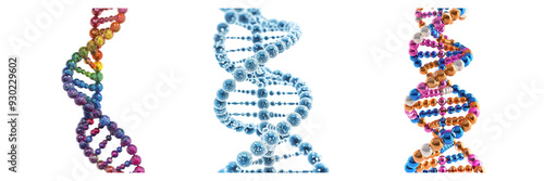 Set of DNA genome structure isolated on a transparent background