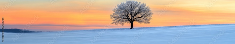 Solitary tree in snowy field during a colorful sunset Solitary tree in snowy field during a colorful sunset