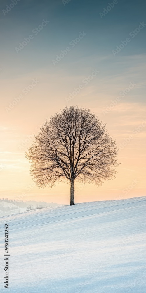 Bare tree on snowy hill during sunset in winter landscape Bare tree on snowy hill during sunset in winter landscape