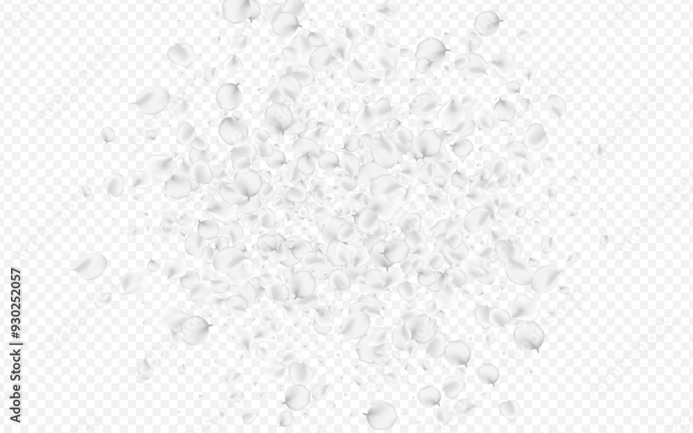 White_petals_transparent_background_437.eps White_petals_transparent_background_437.eps