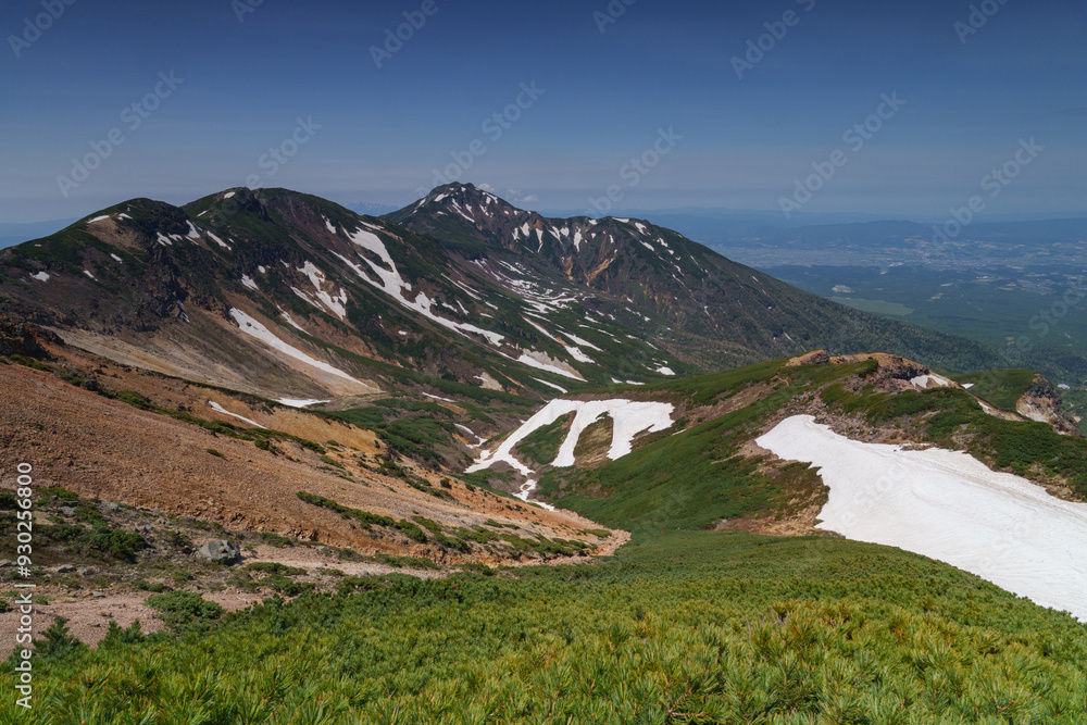 Fototapeta premium 上ホロカメットク山への登山道からの残雪の富良野岳 ６月の北海道