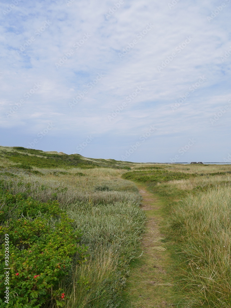 Fototapeta premium Dänemark - Landschaft