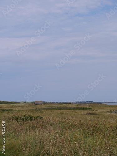 Dänemark - Dünen