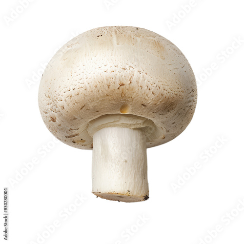 Top view of a whole transparent button mushroom with its smooth cap, isolated on a transparent background  photo