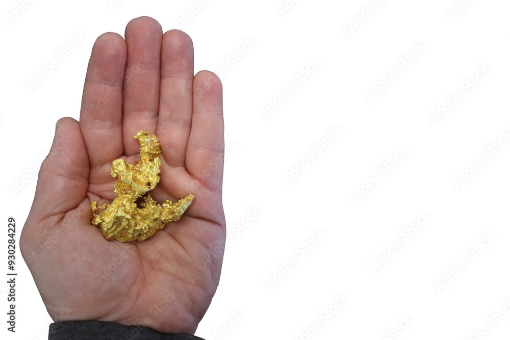 Large, naturally occurring, native, gold nugget held in open hand. Transparent background Large, naturally occurring, native, gold nugget held in open hand. Transparent background
