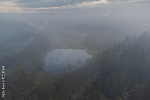 Aerial view of a pond in a foggy forest.