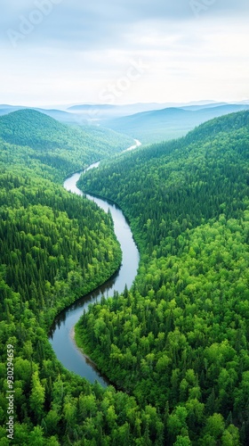 Aerial of a serene forested landscape with a winding river cutting through, highlighting the natural beauty and untouched wilderness