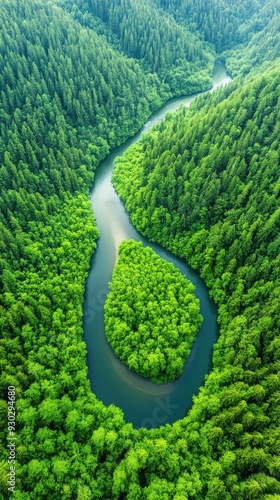 Aerial of a serene forested landscape with a winding river cutting through, highlighting the natural beauty and untouched wilderness