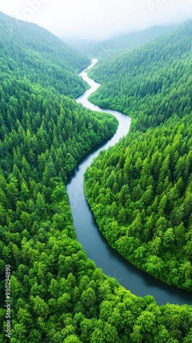 Aerial of a serene forested landscape with a winding river cutting through, highlighting the natural beauty and untouched wilderness