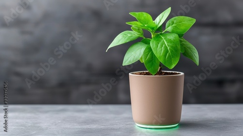 A vibrant green plant in a modern brown pot, adding a touch of nature to any indoor space.