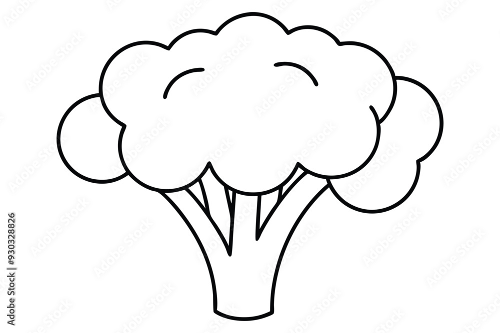 Broccoli piece line art vector illustration Broccoli piece line art vector illustration