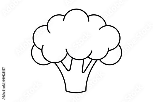 Broccoli slice line art vector illustration