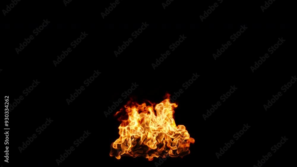 Fire camp isolated, 4k 3d rendering motion Fire camp isolated, 4k 3d rendering motion