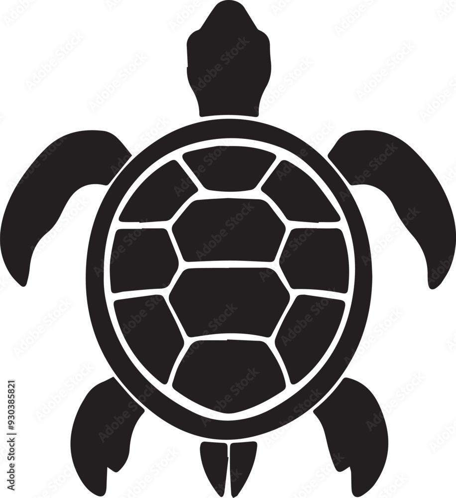 Obraz premium turtle