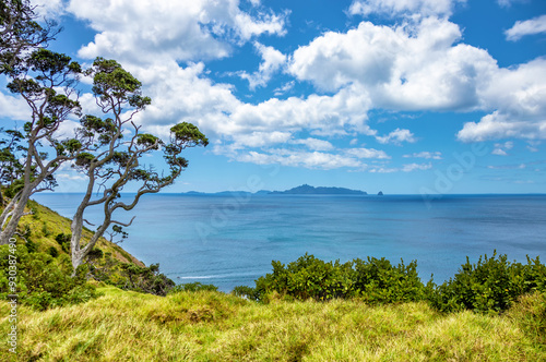 Mangawhai Heads Beach, North Island, New Zealand, Oceania. photo