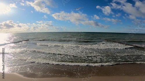 On clear, sunny day, waves rhythmically crash on sandy beach of Baltic Sea. A seagull glides effortlessly above water, adding to serene coastal atmosphere. Copy space
