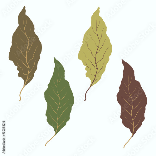 Autumn leaves on white background. Hand drawn vector collection of foliage. Olive green, khaki and brown colors. Messy organic shapes