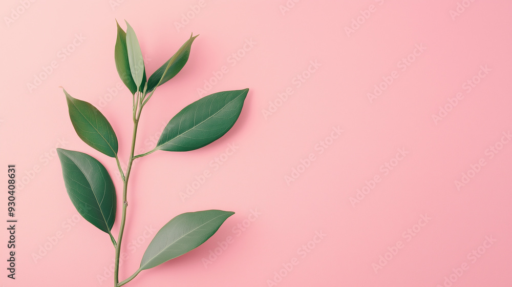 A single green plant branch with leaves placed against a pink background. The minimalist design offers copy space, emphasizing simplicity and freshness. A single green plant branch with leaves placed against a pink background. The minimalist design offers copy space, emphasizing simplicity and freshness.