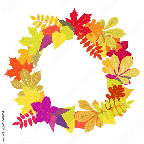 Autumn leaves wreath on white background. Isolated hand drawn vector round frame of grapes, oak, chestnut, aspen, red rowan, maple foliage. Red, yellow, orange, green, purple, pink, brown colors
