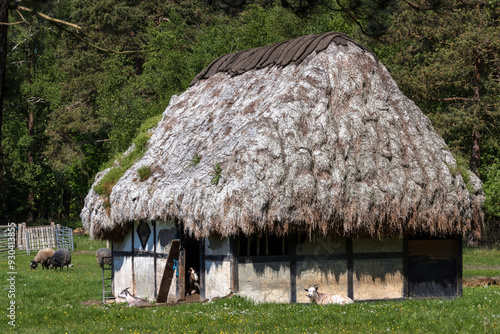 Kleines Tanghaus als Ziegenestall auf der dänischen Insel Læsø. photo