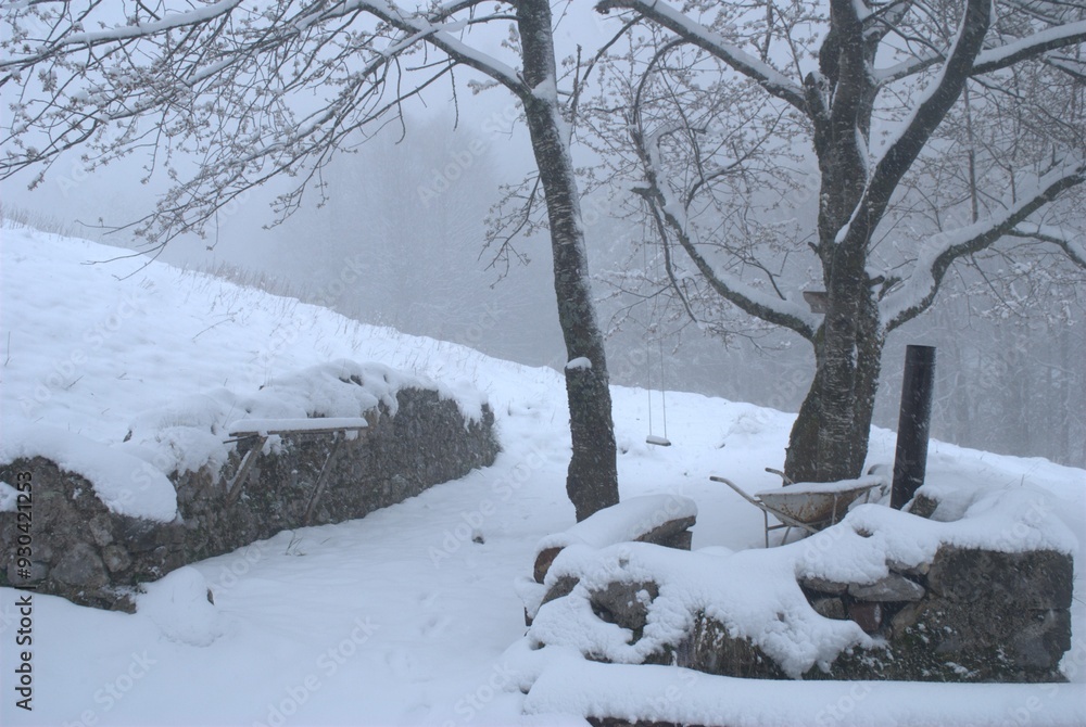 peace in the snow peace in the snow