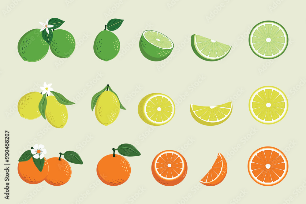 A set of citrus fruits, whole and sliced. Lime, lemon, orange. Vector design. A set of citrus fruits, whole and sliced. Lime, lemon, orange. Vector design.