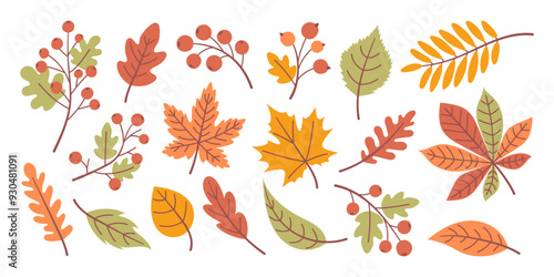Set of hand drawn fallen leaves