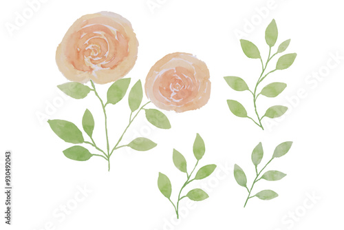 Assortment of watercolor flowers, leaves illustration set - green leaf branches collection for wedding, greetings, stationary, wallpapers, fashion, background. olive, green leaves, Eucalyptus etc.