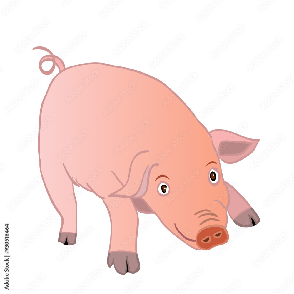 Fototapeta premium Cute pig looking keen in front of him. Vector illustration isolated on white.