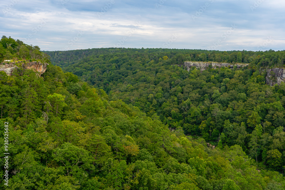 Fototapeta premium View from Wolf Creek Overlook to Canyon The summer landscape offers views of both sides of the canyon, the gorge, mountain forests, and rock cliffs. Little River Canyon National Preserve in Alabama.
