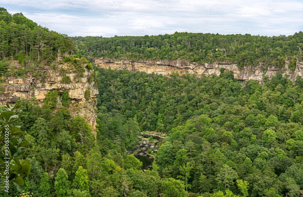 Naklejka premium View from Eberhart Point to Canyon bottom. The summer landscape offers views of the sides of the canyon, gorge, riverbed, forests, and rock cliffs. Little River Canyon National Preserve in Alabama.