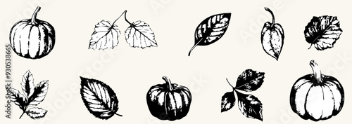 Autumn season elements set with pumpkin, herbarium leaves with grainy photocopy effect. y2k Grunge fall collection stippling