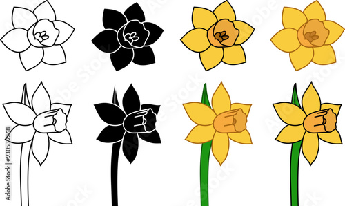 Daffodil Flower with Stem Illustration Clipart - March Birth Flower Outline, Silhouette and Color