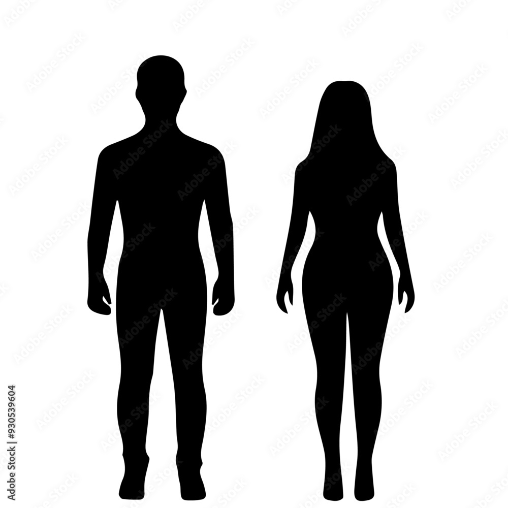 Silhouette of male and female figures. Human body. Vector illustration. Silhouette of male and female figures. Human body. Vector illustration.