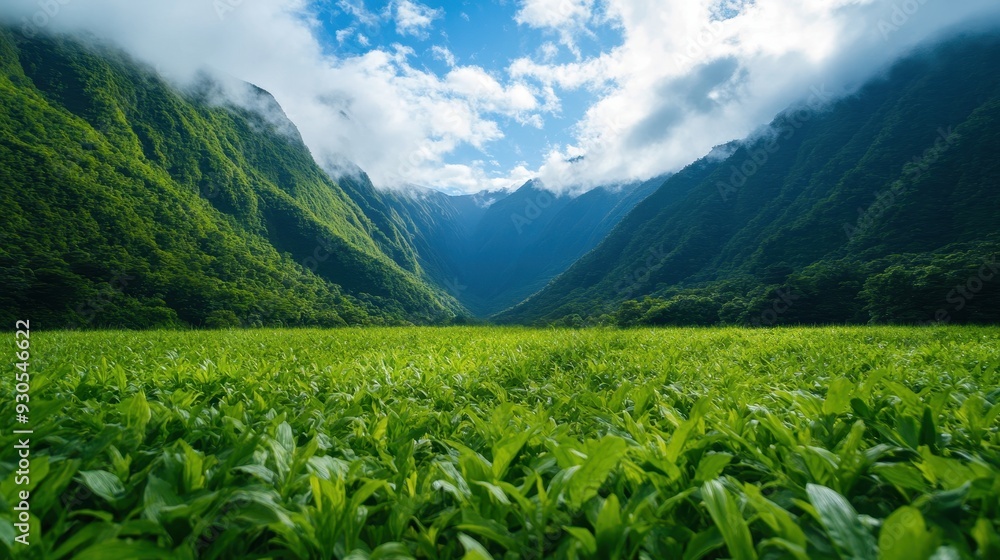 A serene landscape featuring lush green fields and majestic mountains under a vibrant blue sky. Ideal for nature and travel themes. A serene landscape featuring lush green fields and majestic mountains under a vibrant blue sky. Ideal for nature and travel themes.