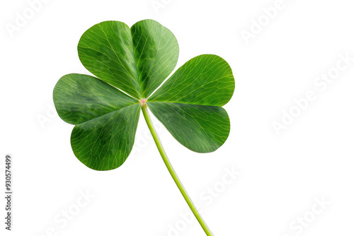 Green Four-Leaf Clover