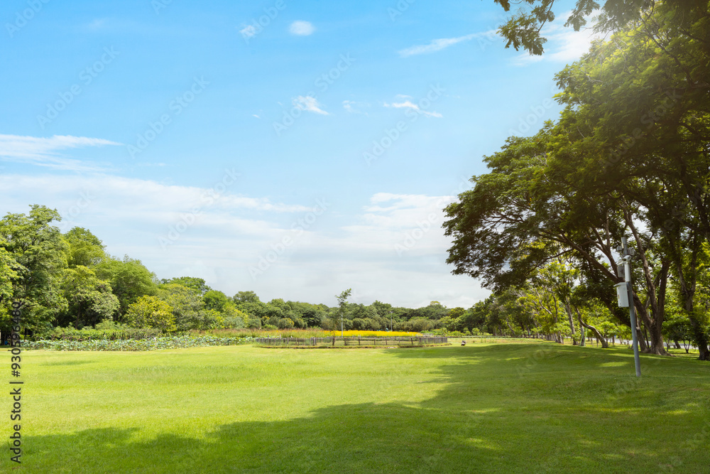 Scenic view of the park with green grass field in city and a cloudy blue sky background. Beautiful green park Scenic view of the park with green grass field in city and a cloudy blue sky background. Beautiful green park
