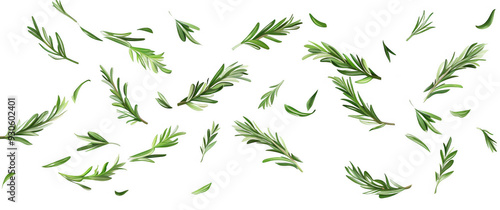 Scattered Rosemary Leaves